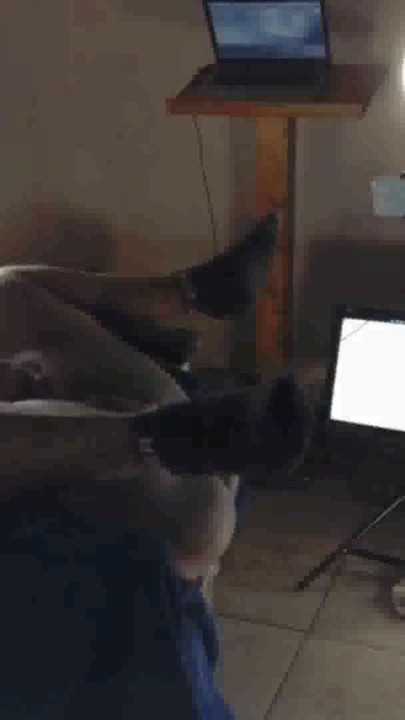 Thot in Texas - Cum inside and enjoy the pussy | Clip 2