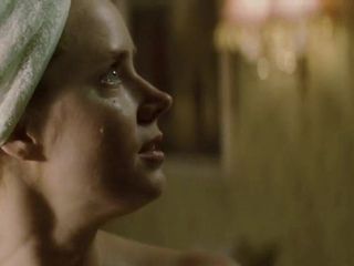 Amy Adams - ano bissexto (2010)