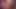 trans cumming with a vibrator for you and eating your cum