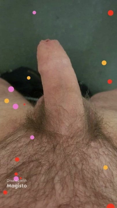 Cornish Cock needs a pussy