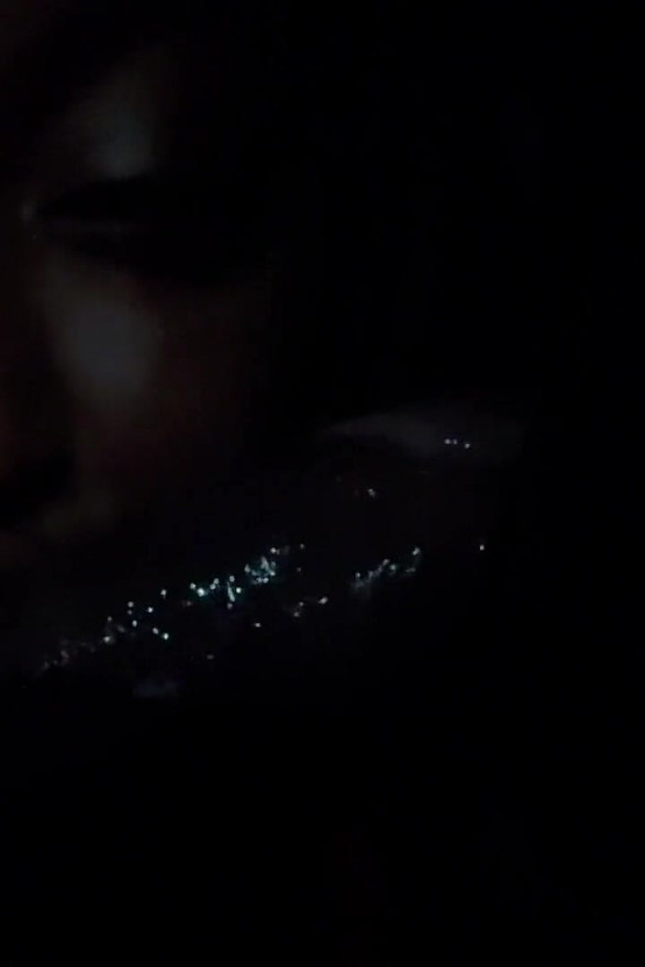 Quick Blowjob in the Car