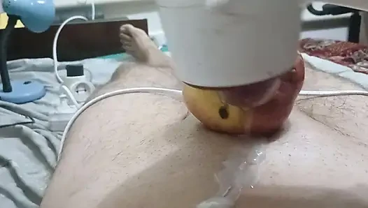 Cennet elması çok eğlenceli