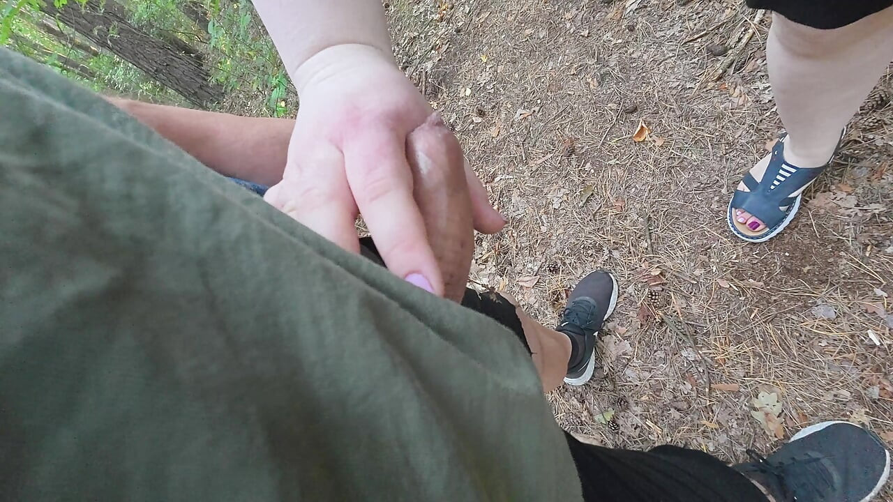 En promenad i skogen