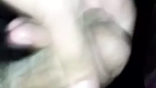 benim dost kuşum