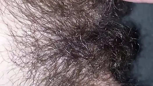 Волосатая киска крупным планом