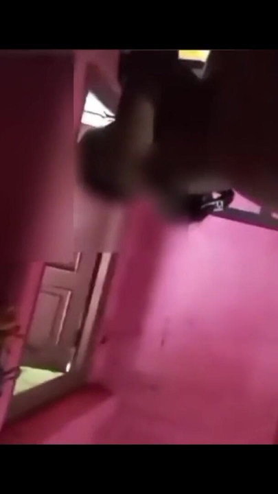 Memorabile momento da "Quando il cognato trovò la cognata da sola in casa, lui la cognata".