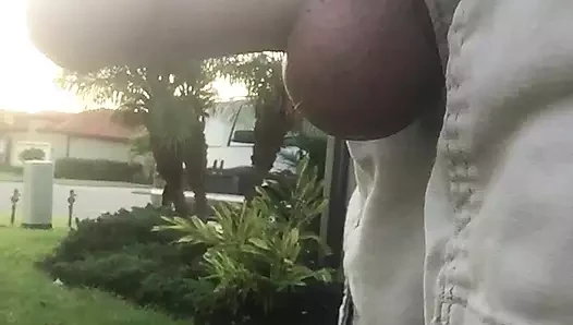 A Walk Outside With My Penis In A Cable Clamp