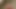 Promo Sex Cock Dick