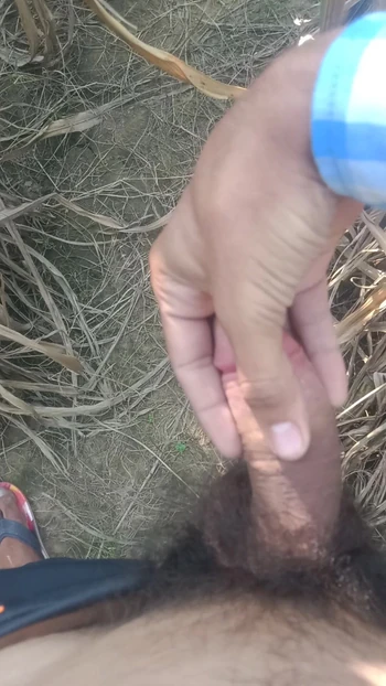 Indian gay
