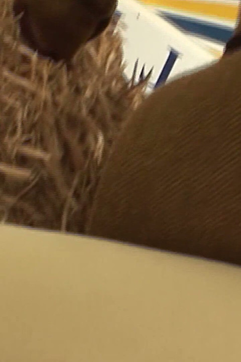 Hotty Riders Scene 2: Blonde Woman with a Huge Ass Enjoys a Fuck in the Stable