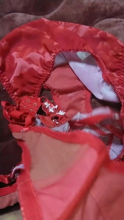 brother wife's panty and bra