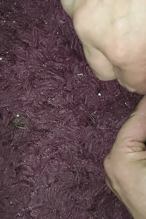 Cock with Dilator