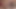Brunette slut gets into the holiday spirit by masturbating