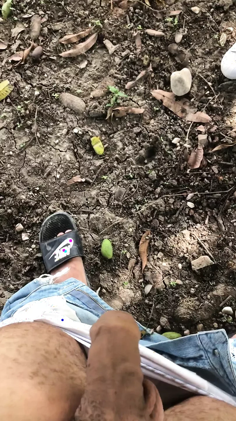 Dominican sucking cock on mango tree