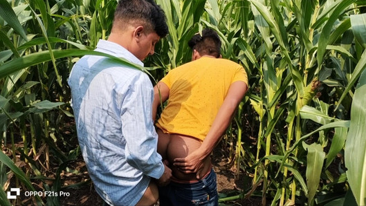 Indian Gay  - Today Collage Boy & College Teacher I saw a corn field  side of the forest, so I enjoyed going to the corn field.