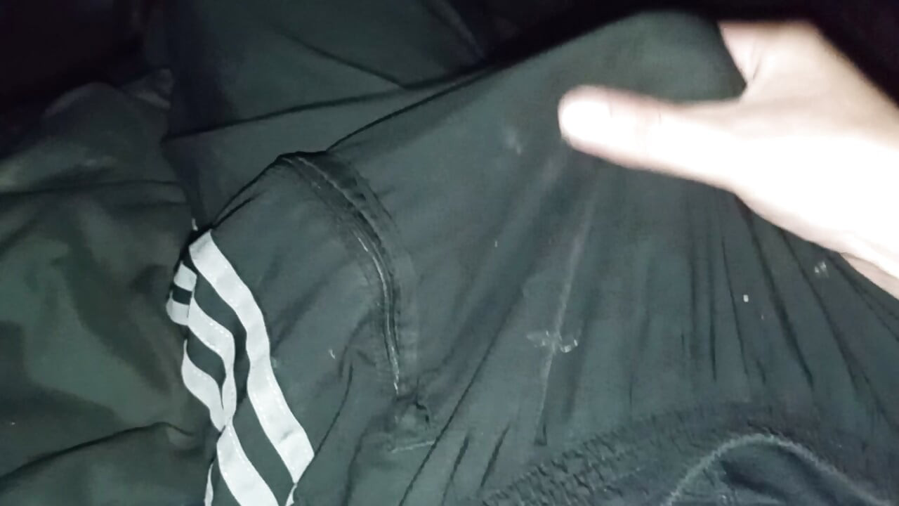Horny Trackie Boyz