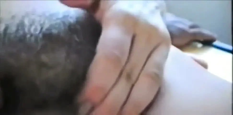 Old Pigs Tell Their Sins