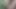 Masturbating outdoor in forest