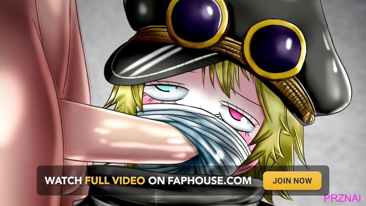 One Piece Gunko Hen
