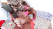 Pregled videozapisa