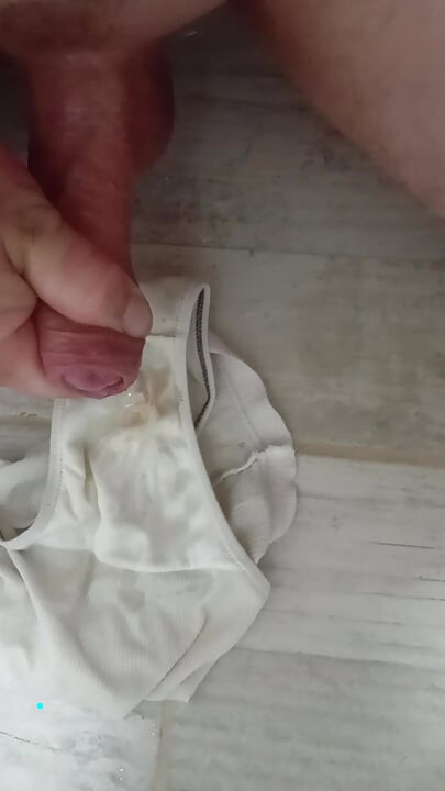 Cumshot In Panties