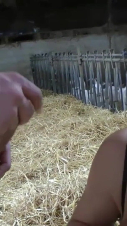 Must-see moment from "A mature woman has her gangbang in the farm next to the goats"