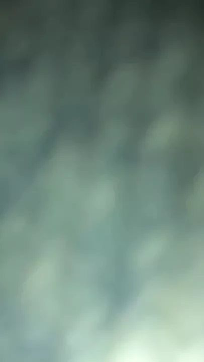 再见