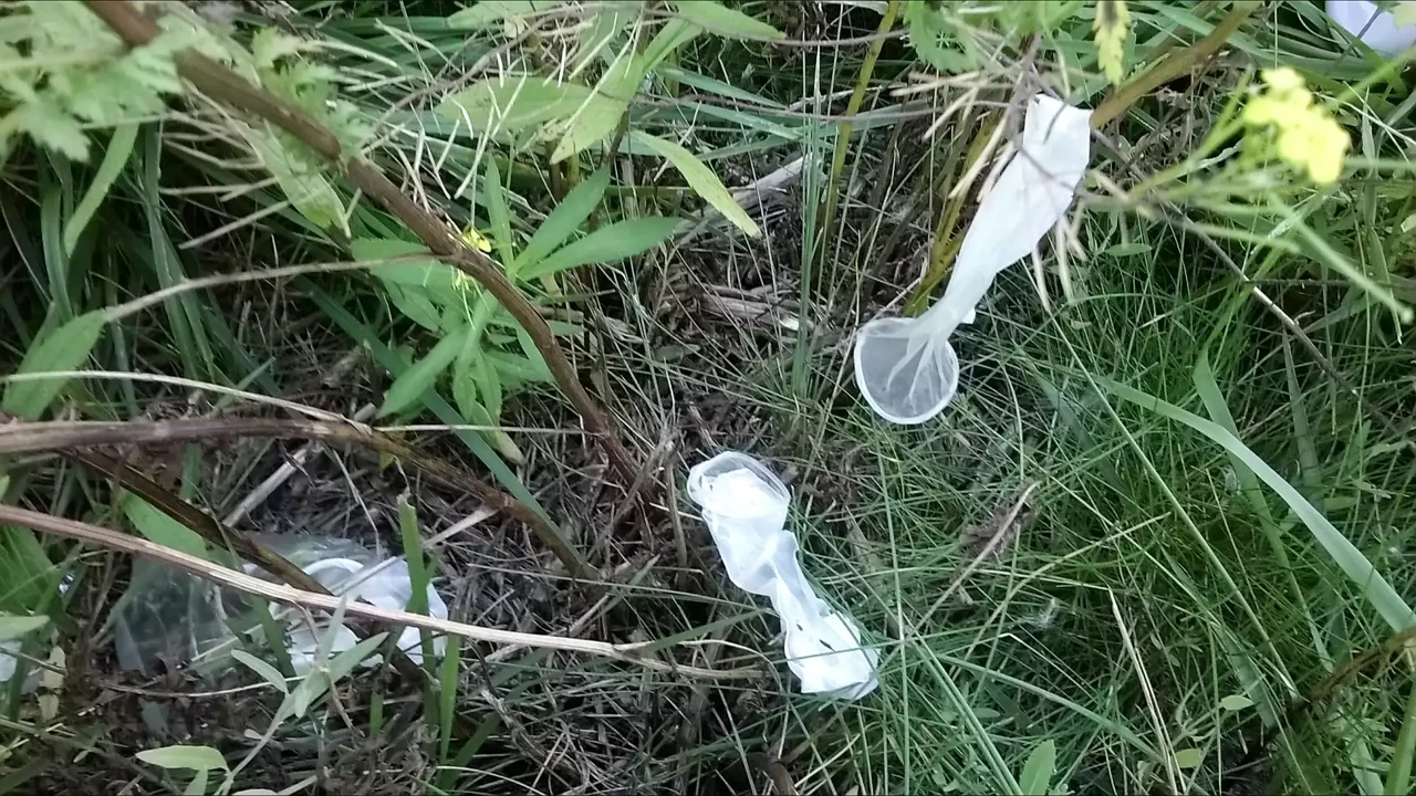 Used condoms
