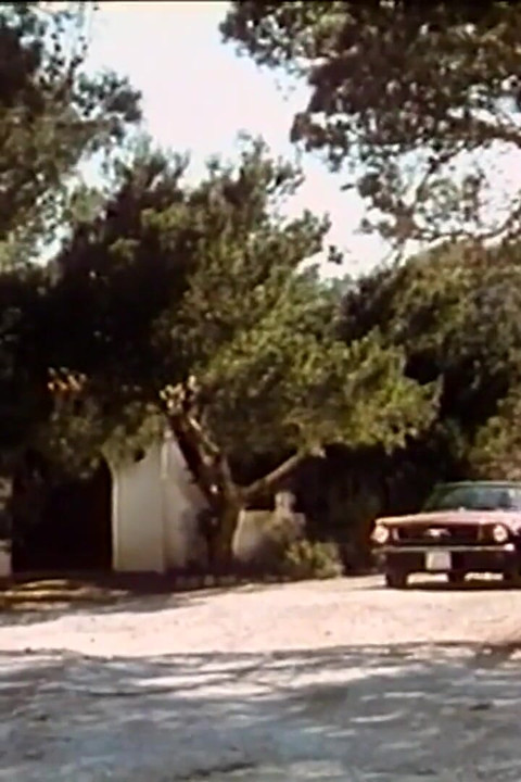Heisser Sex Auf Ibiza (1982)