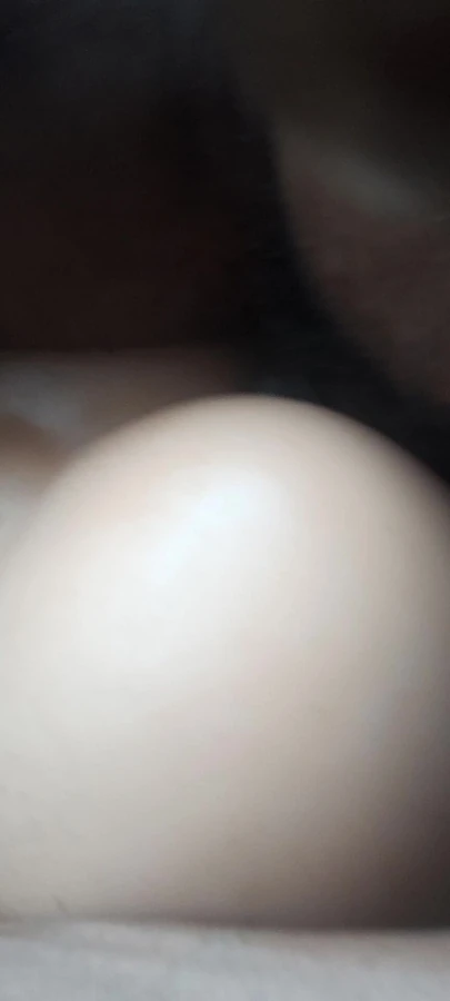Black Bull Doggying His Bubble Butt Toy. 👑