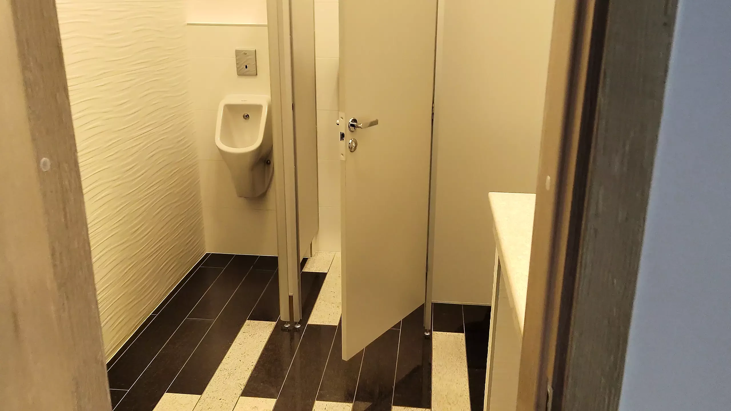 Baño público masturbándose