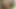 Horny latina twerk on big black cock and cum in ass