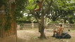 Video pregled