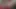 Desi Wife no Face Solo Fingering on Bed - Real Sounds & Soft Moans