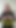 新しいウェブサイトがオンラインになりました