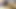 Utangaç sıska 18 genç Asyalı friz maravilla tarafından sikiliyor #ThayPussy #18Fucking #18Pussy