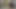 Vixskin Dildo Review