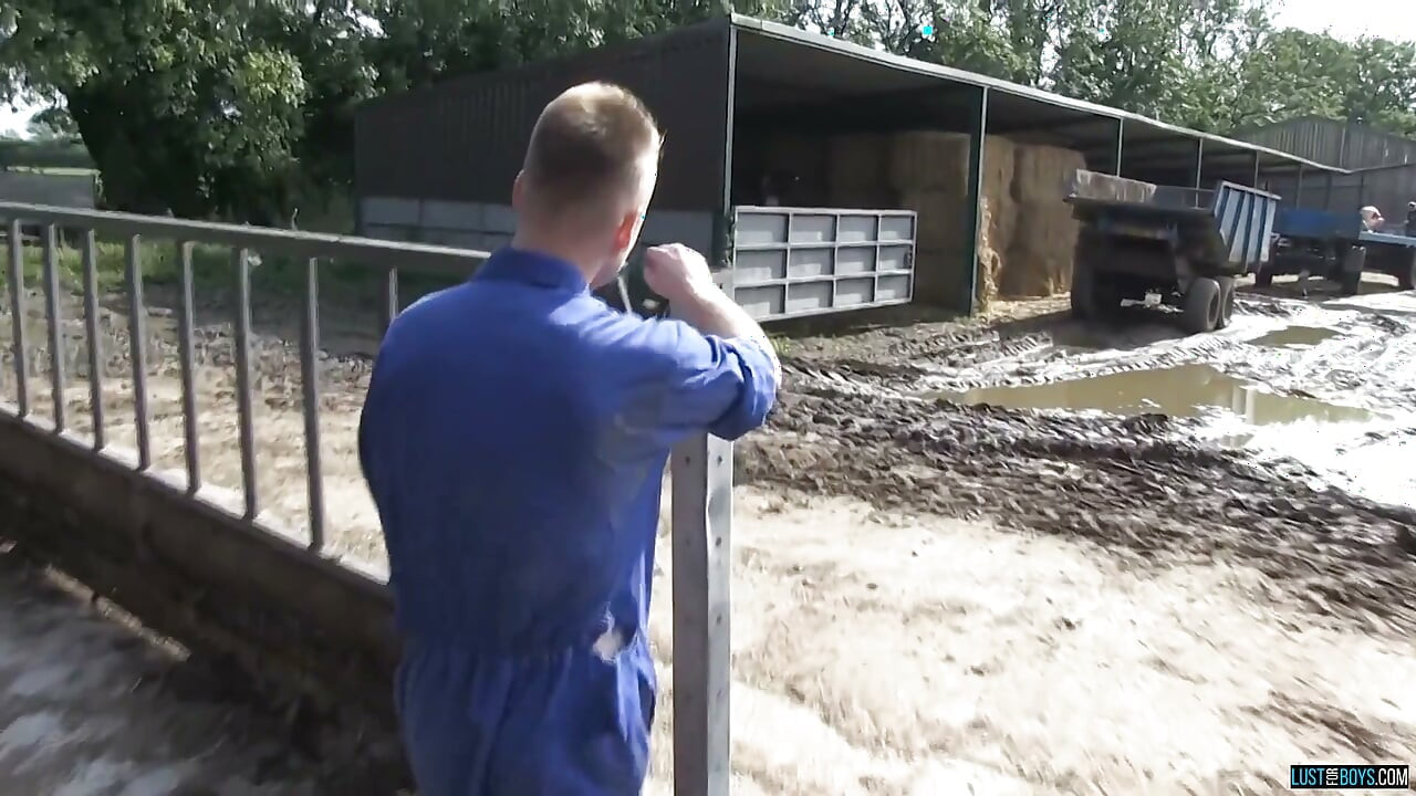 Trójkąty chłopcy na farmie