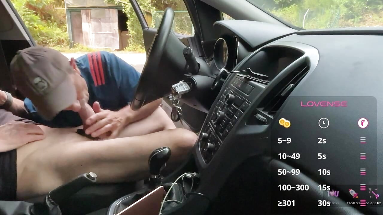 A Sunny Car