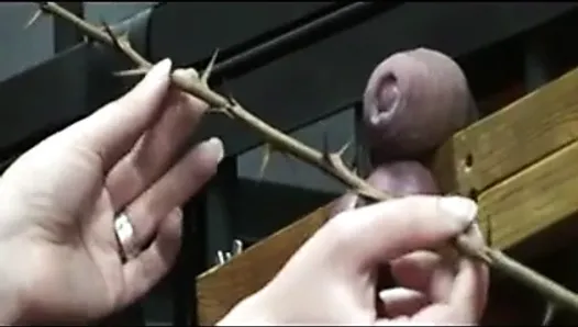 Serious Cock And Ball Torture