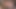 Seksi ve sürtük ev kadınları tadını çıkarmak için yarak veya oyuncak arıyor - 4