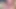 Female POV - подруга сводной сестры лижет мою киску, пока я больше не могу принимать ее