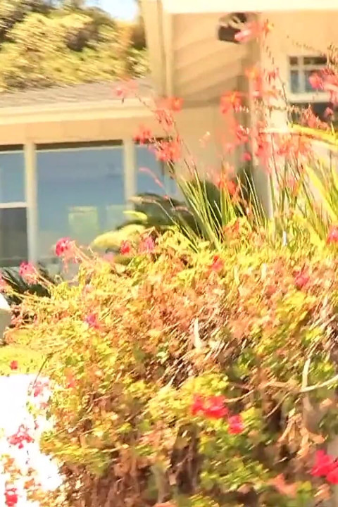 Pinned up against the door juicy pussy eating lesbian fuck