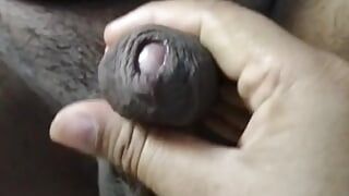 Nepali Husband Wife Romance. Pussy and Penis Masturbation