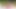 素晴らしいドイツの娼婦が自然の中で大きなペニスに乗る