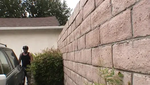 The Fox Eats It All, part 3