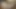 Twink Handsfree Cum Bareback Creampie