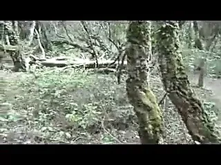 业余成熟与伟大的衣架后入