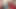 Casting compilation – Desperate Amateurs hot interracial action