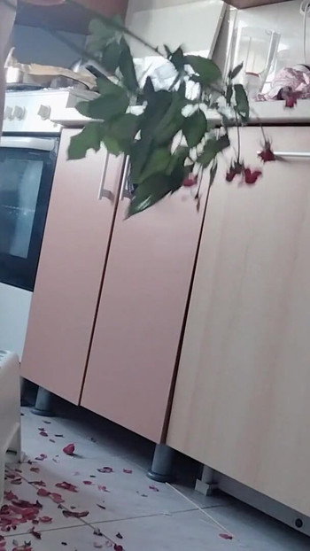 Emotional moment from "Sexy nude woman preparing food in the kitchen. Hairy brunette hair, big ass, big breasts."